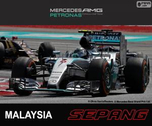 Puzzle Rosberg 2015 Μαλαισία G.P